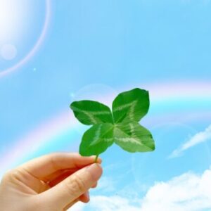 【更新中】2025年ハピネッツ選手ストーブリーグ！退団・契約更新・補強の行方は？